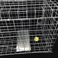 Anti-rusty Animal Trap Cage Anti-rusty Reusable animal trap cage Manufactory